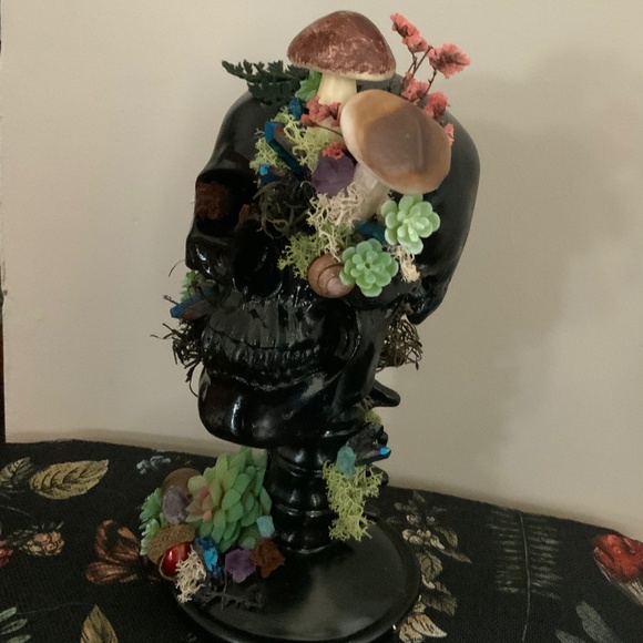 Skull nature display - Picture 3 of 4